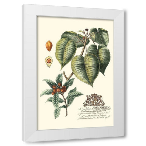 Imperial Foliage III White Modern Wood Framed Art Print by Vision Studio