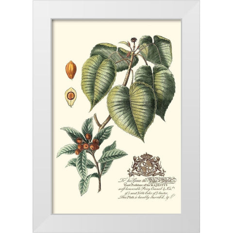 Imperial Foliage III White Modern Wood Framed Art Print by Vision Studio