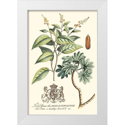 Imperial Foliage IV White Modern Wood Framed Art Print by Vision Studio