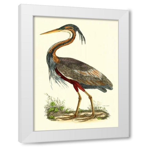 Purple Heron White Modern Wood Framed Art Print by Selby, John