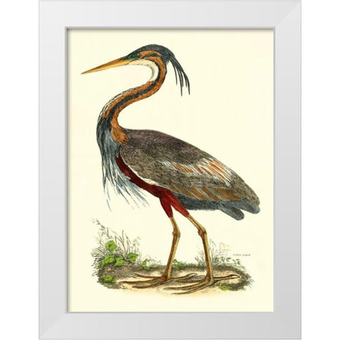 Purple Heron White Modern Wood Framed Art Print by Selby, John