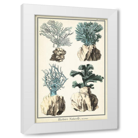 Oversize Coral Species III White Modern Wood Framed Art Print by Vision Studio