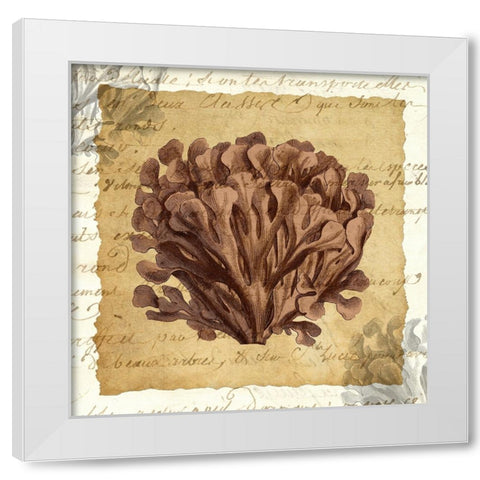La Vie en Mer III White Modern Wood Framed Art Print by Vision Studio