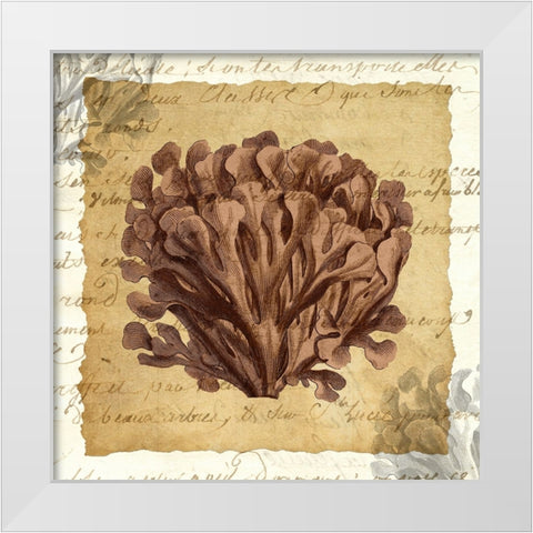 La Vie en Mer III White Modern Wood Framed Art Print by Vision Studio