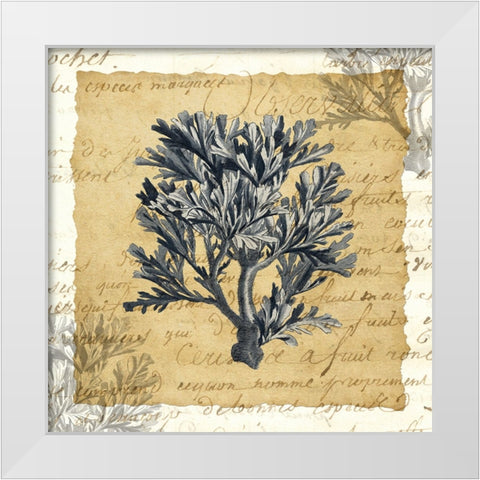 La Vie en Mer IV White Modern Wood Framed Art Print by Vision Studio