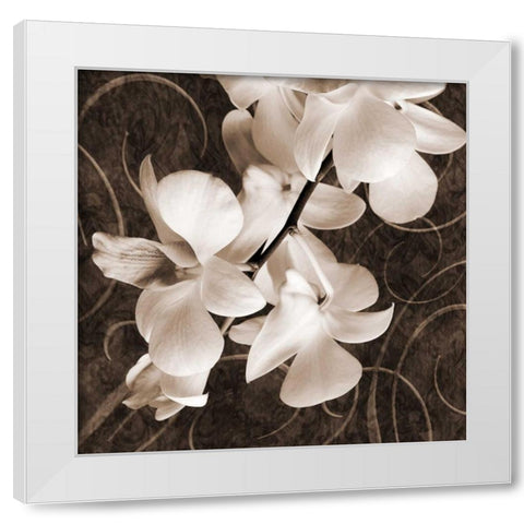 Orchid and Swirls I White Modern Wood Framed Art Print by Zalewski, Christine