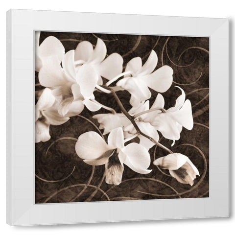 Orchid and Swirls II White Modern Wood Framed Art Print by Zalewski, Christine