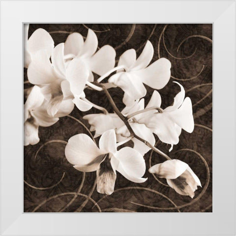 Orchid and Swirls II White Modern Wood Framed Art Print by Zalewski, Christine