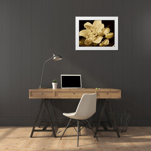 Yvoire Flower I White Modern Wood Framed Art Print by Perry, Rachel