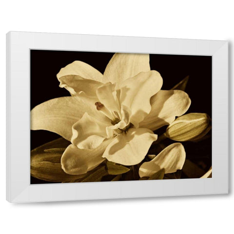 Yvoire Flower I White Modern Wood Framed Art Print by Perry, Rachel