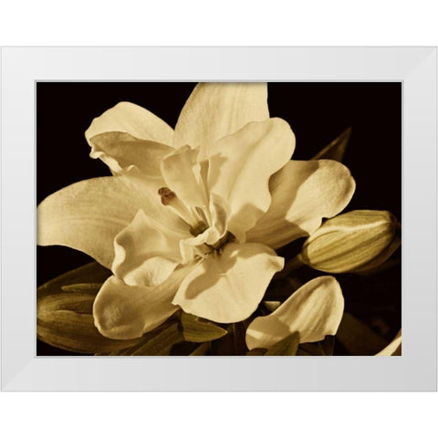 Yvoire Flower I White Modern Wood Framed Art Print by Perry, Rachel