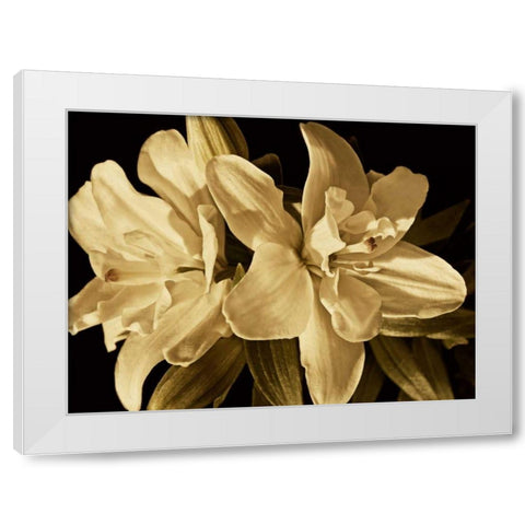 Yvoire Flower II White Modern Wood Framed Art Print by Perry, Rachel