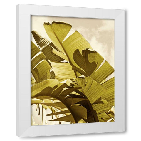 Palm Fronds I White Modern Wood Framed Art Print by Perry, Rachel