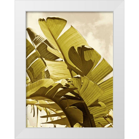 Palm Fronds I White Modern Wood Framed Art Print by Perry, Rachel