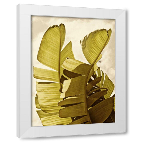 Palm Fronds III White Modern Wood Framed Art Print by Perry, Rachel
