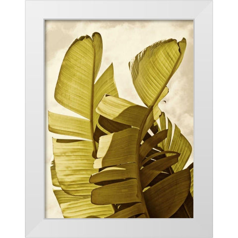 Palm Fronds III White Modern Wood Framed Art Print by Perry, Rachel