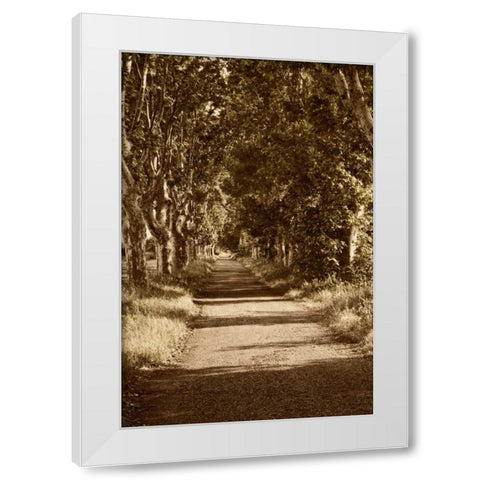 Road to St. Remy White Modern Wood Framed Art Print by Perry, Rachel