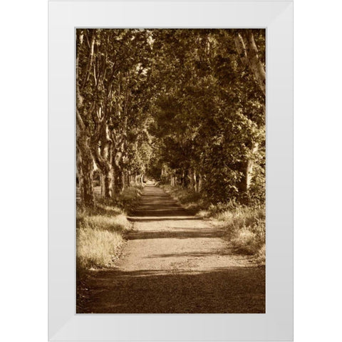 Road to St. Remy White Modern Wood Framed Art Print by Perry, Rachel