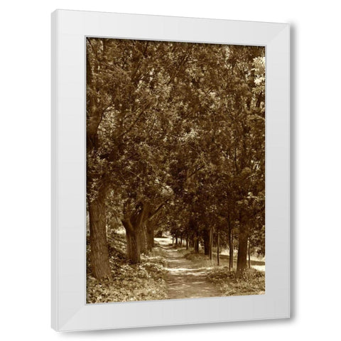 Road to Giverny White Modern Wood Framed Art Print by Perry, Rachel