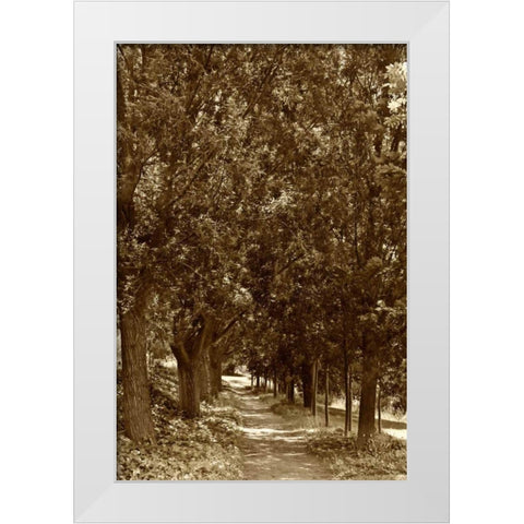 Road to Giverny White Modern Wood Framed Art Print by Perry, Rachel
