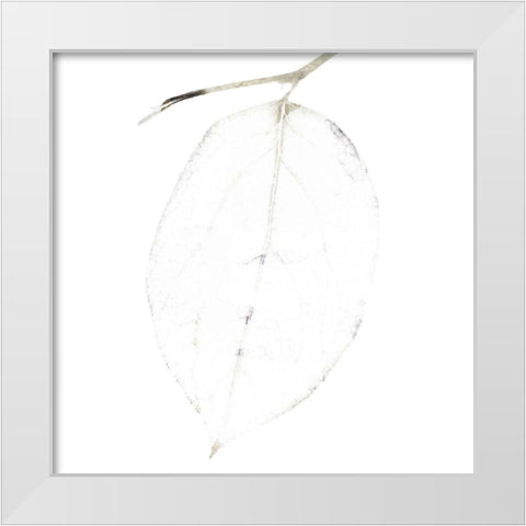 Bamboo Moon I White Modern Wood Framed Art Print by Zalewski, Christine