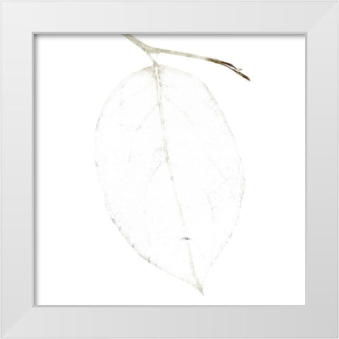 Bamboo Moon II White Modern Wood Framed Art Print by Zalewski, Christine