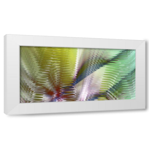 Symphonic II White Modern Wood Framed Art Print by Burghardt, James