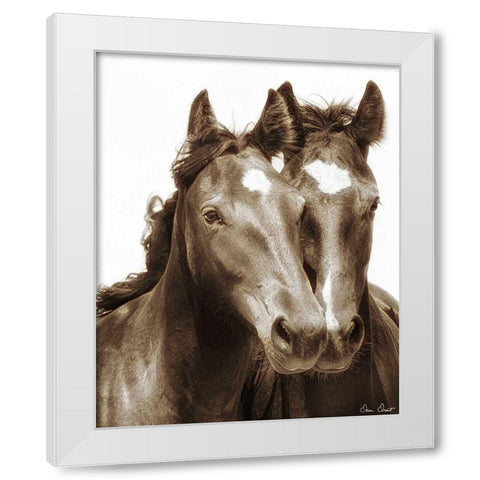 Horse Portrait III White Modern Wood Framed Art Print by Drost, David