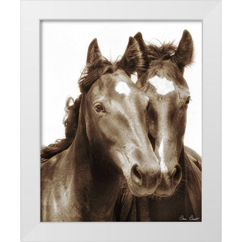 Horse Portrait III White Modern Wood Framed Art Print by Drost, David