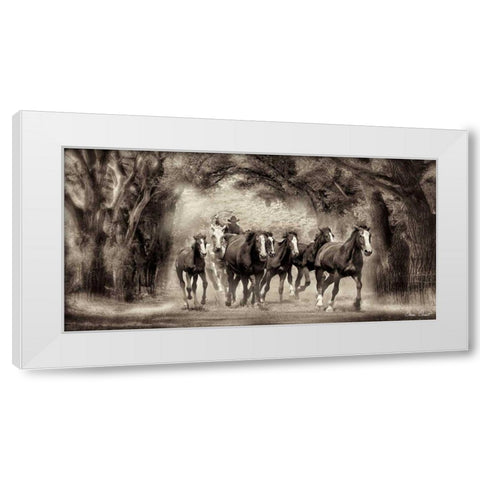 The Chase II White Modern Wood Framed Art Print by Drost, David