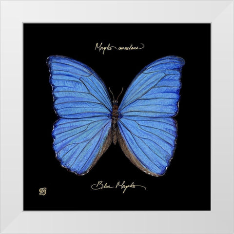 Striking Butterfly I White Modern Wood Framed Art Print by Joyner, Ginny
