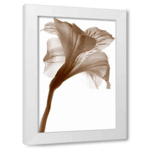 Inflorescence I White Modern Wood Framed Art Print by Project, A.