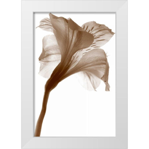 Inflorescence I White Modern Wood Framed Art Print by Project, A.