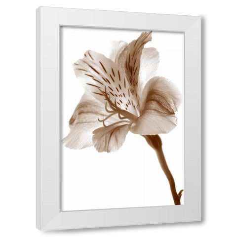 Inflorescence II White Modern Wood Framed Art Print by Project, A.