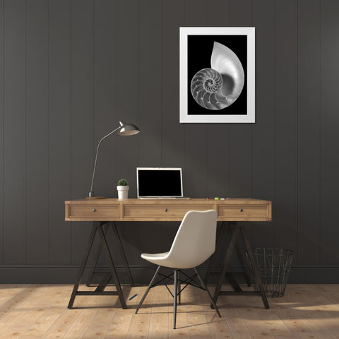Shell II White Modern Wood Framed Art Print by Christensen, Jim