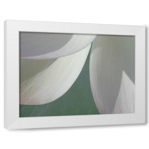 Lotus Detail I White Modern Wood Framed Art Print by Christensen, Jim
