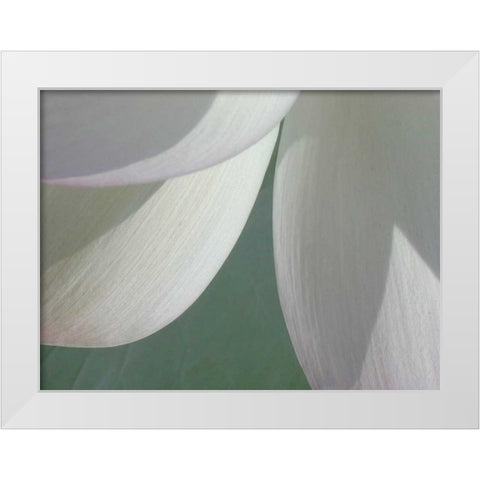 Lotus Detail I White Modern Wood Framed Art Print by Christensen, Jim