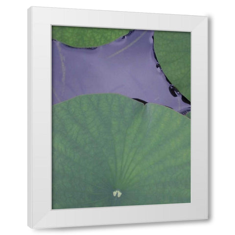 Lotus Detail X White Modern Wood Framed Art Print by Christensen, Jim