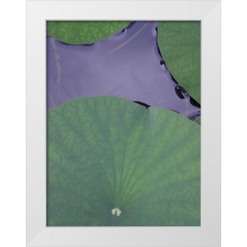 Lotus Detail X White Modern Wood Framed Art Print by Christensen, Jim