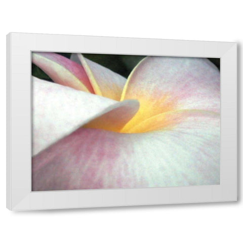 Flowers II White Modern Wood Framed Art Print by Christensen, Jim