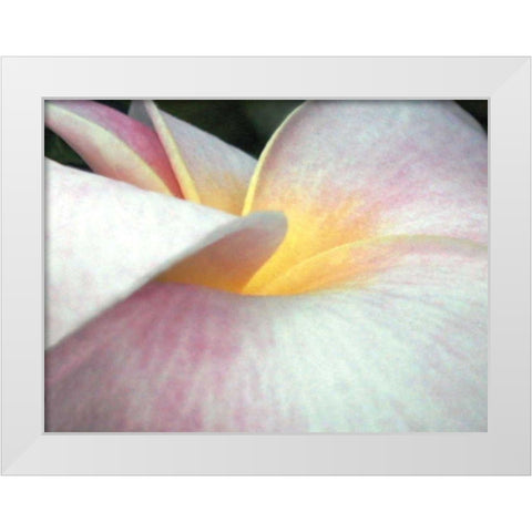 Flowers II White Modern Wood Framed Art Print by Christensen, Jim