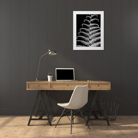 Fern II White Modern Wood Framed Art Print by Christensen, Jim