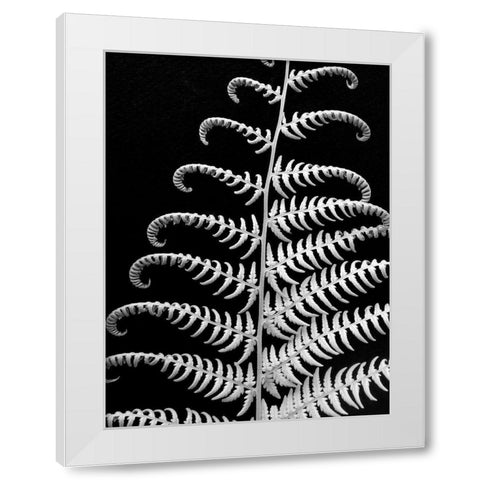 Fern II White Modern Wood Framed Art Print by Christensen, Jim