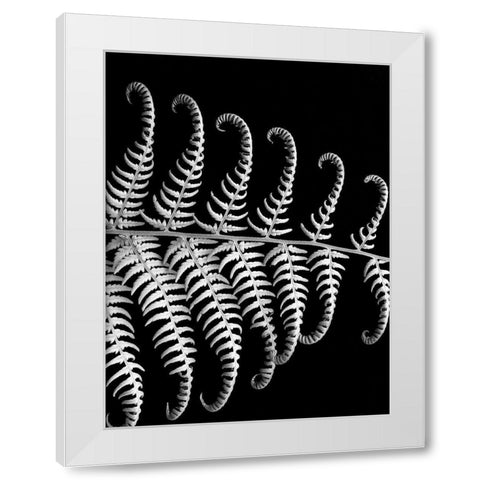 Fern III White Modern Wood Framed Art Print by Christensen, Jim