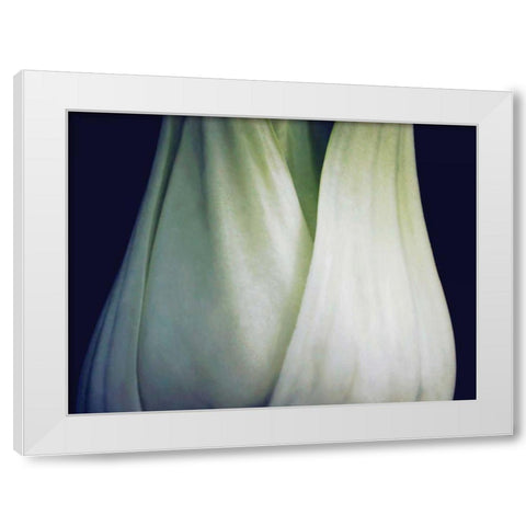 Bok Choy I White Modern Wood Framed Art Print by Christensen, Jim