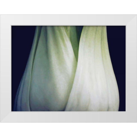 Bok Choy I White Modern Wood Framed Art Print by Christensen, Jim