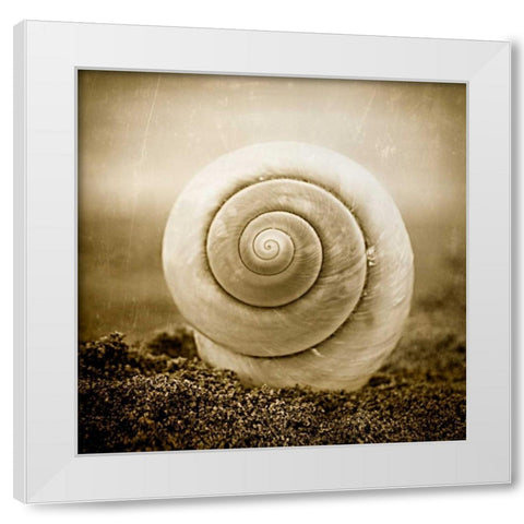 Cochlear III White Modern Wood Framed Art Print by Hartson-Weddle, Ryan