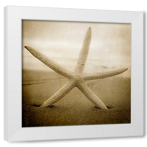 Right at Home White Modern Wood Framed Art Print by Hartson-Weddle, Ryan