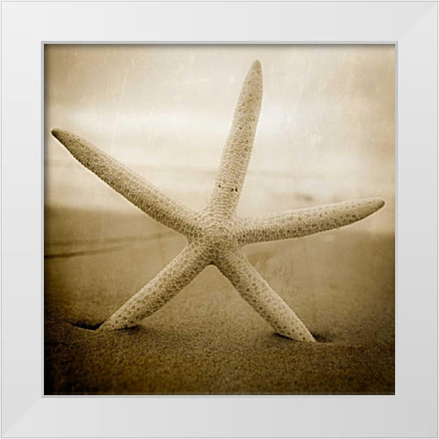 Right at Home White Modern Wood Framed Art Print by Hartson-Weddle, Ryan