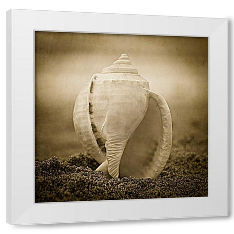 A Suitable Dwelling White Modern Wood Framed Art Print by Hartson-Weddle, Ryan